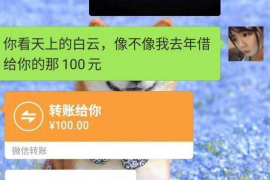 李沧清债公司排名：揭秘行业翘楚，助力企业债务管理