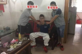 支付宝会被催收吗？解析相关风险与应对之策