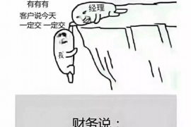 蒲公英APP借款催收:揭秘借款平台的风控策略 蒲公英APP借款催收:揭秘借款平台的风控策略