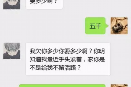 镇长要账:揭开基层政府财务管理的神秘面纱 镇长要账:揭开基层政府财务管理的神秘面纱