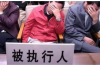 辽宁营口发来的催收：深度解读与案例分析