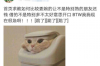 **早到暴力催收用还钱吗？法律角度深度解析**